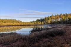 se_tag4_wanderungmoor_see
