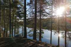 se_tag4_wanderungmoor_seesonne