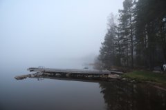 se_tag5_nebelamsee_1