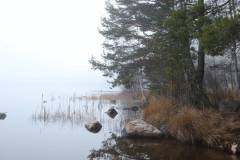 se_tag5_nebelamsee_2