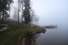 se_tag5_nebelamsee_3