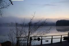 se_tag5_nebelamsee_5